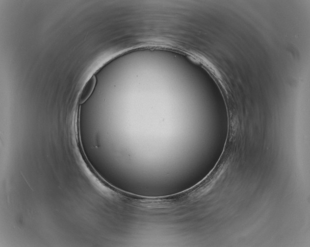 X0000115841391200911131522