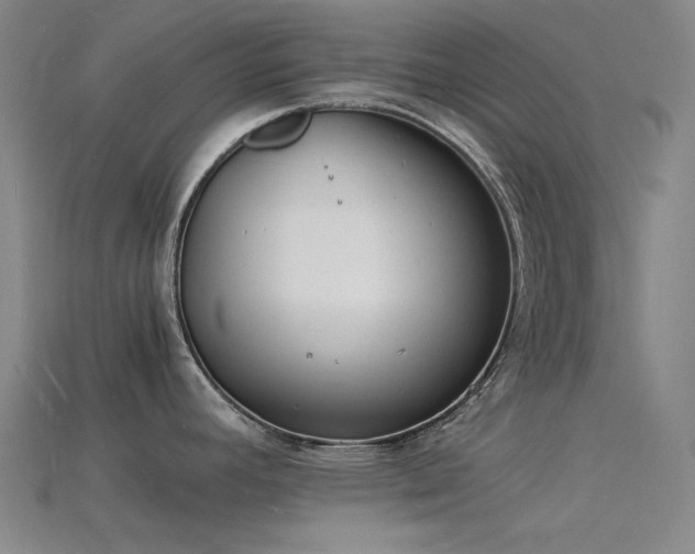 X0000115841392200911131522