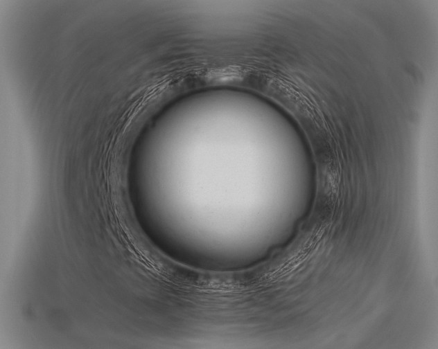 X0000115841393200911131521