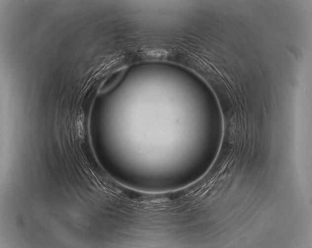 X0000115841394200911131521
