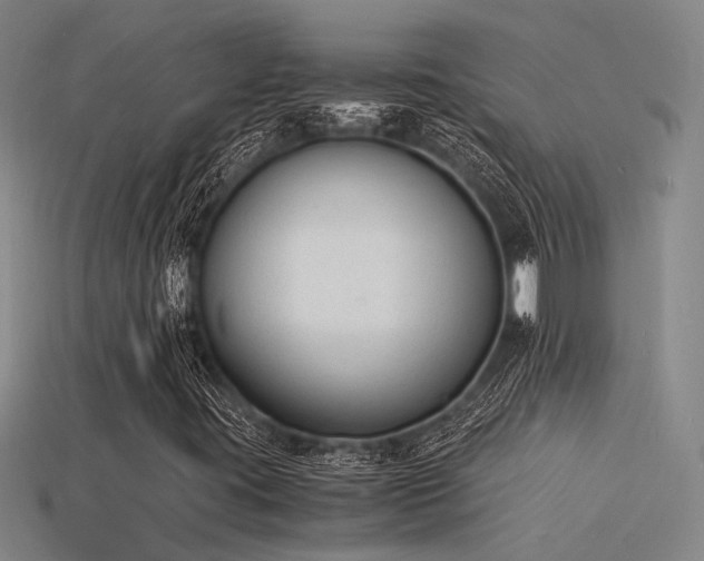 X0000115841395200911131521