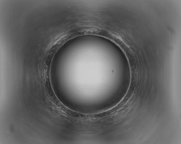 X0000115841399200911131521