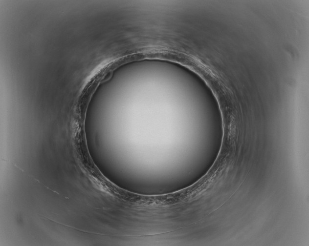 X0000115841400200911131521