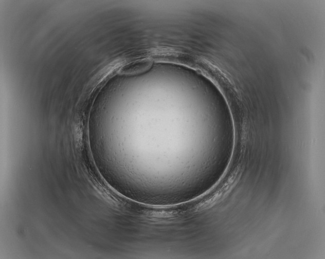 X0000115841401200911131521