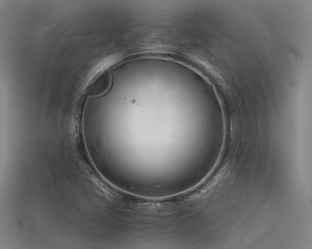 X0000115841405200911131521