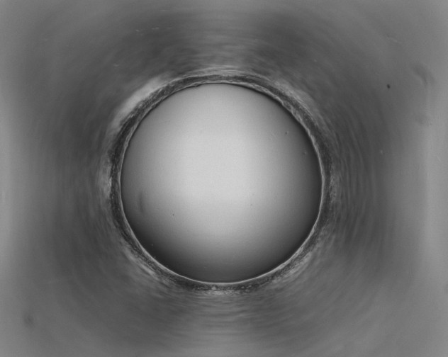 X0000115841406200911131521