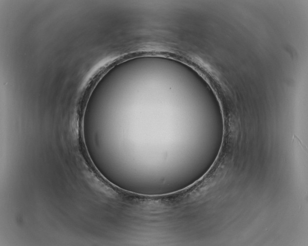X0000115841408200911131521