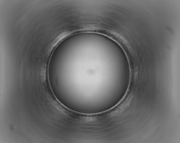 X0000115841409200911131521