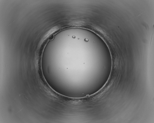X0000115841410200911131521