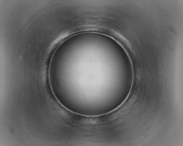 X0000115841411200911131521