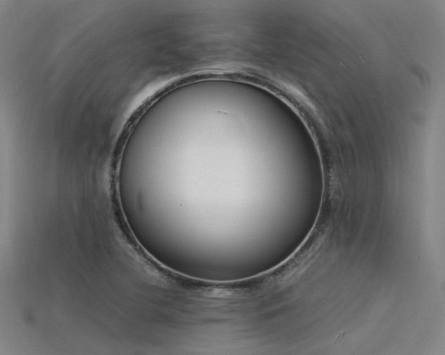 X0000115841412200911131521