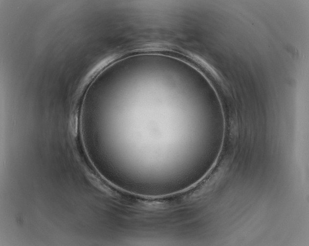 X0000115841413200911131521