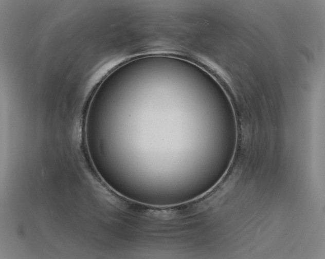 X0000115841415200911131521
