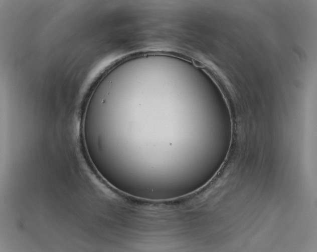 X0000115841416200911131521