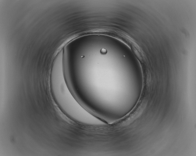 X0000115841417200911131521