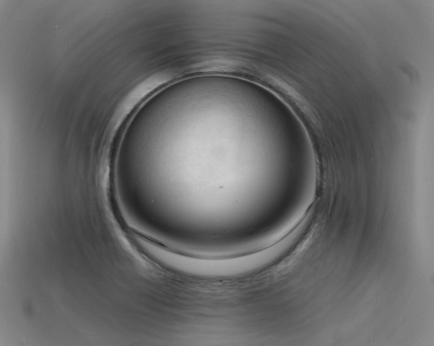 X0000115841418200911131521