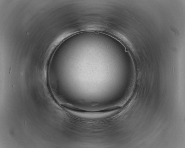 X0000115841419200911131521