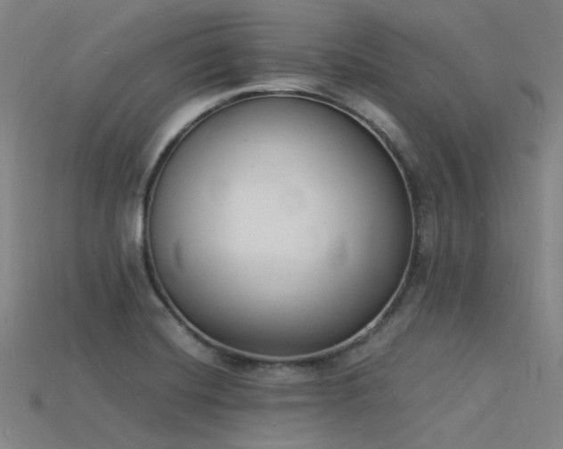 X0000115841420200911131521