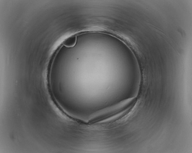 X0000115841422200911131521