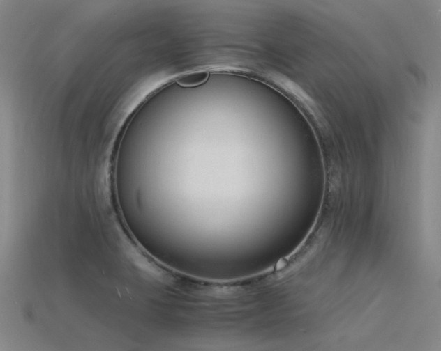 X0000115841423200911131522
