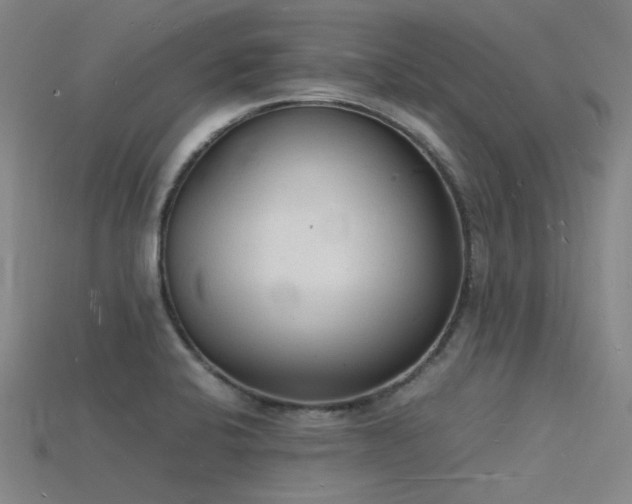 X0000115841424200911131522