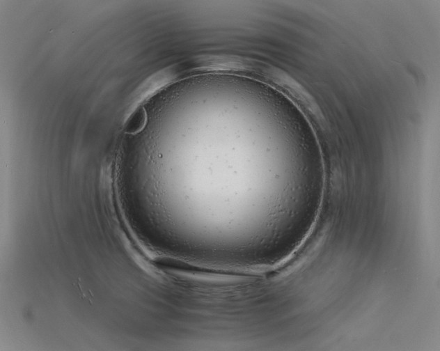 X0000115841425200911131522