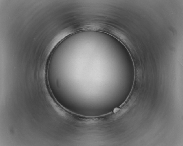 X0000115841426200911131522