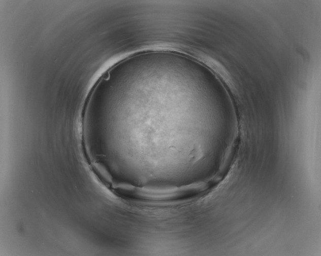 X0000115841428200911131522
