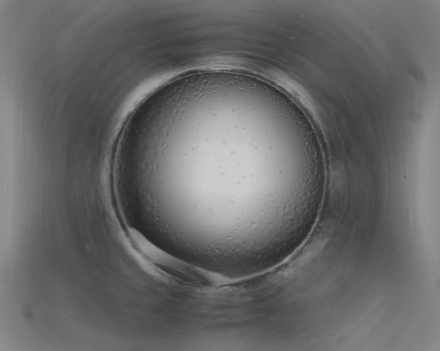 X0000115841429200911131522