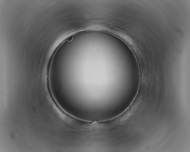 X0000115841430200911131522