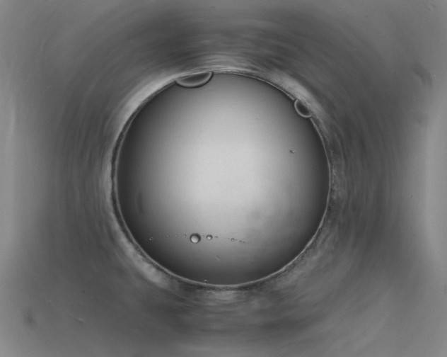 X0000115841431200911131522