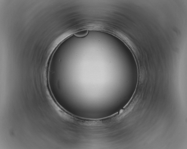 X0000115841434200911131522