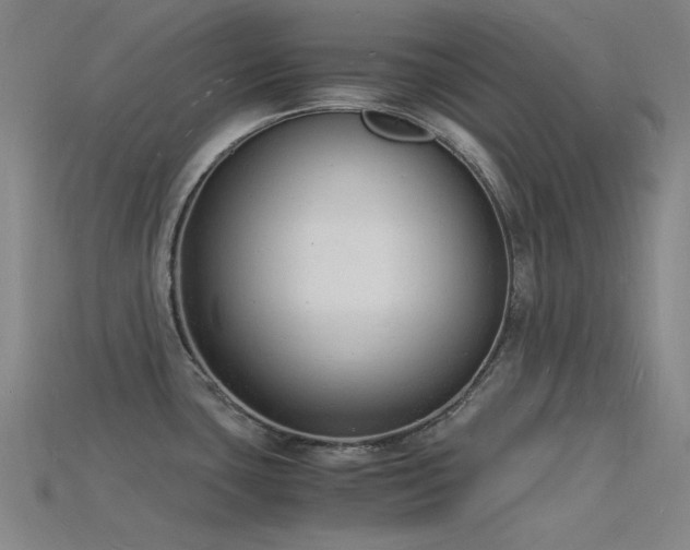 X0000115841435200911131522