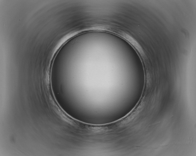 X0000115841436200911131522