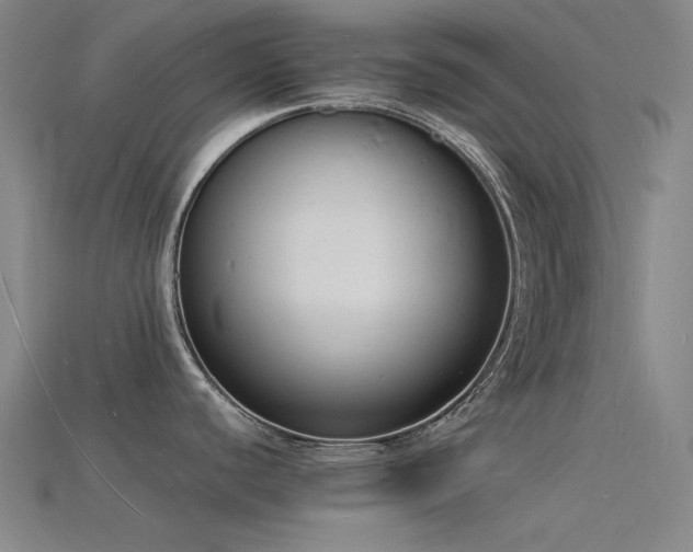 X0000115841440200911131522