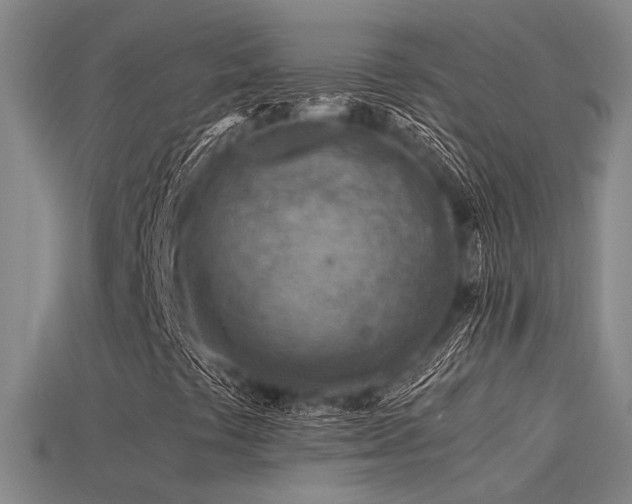 X0000115841441200911131521