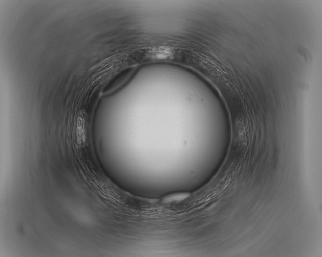 X0000115841442200911131521