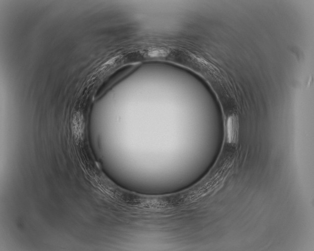 X0000115841443200911131521