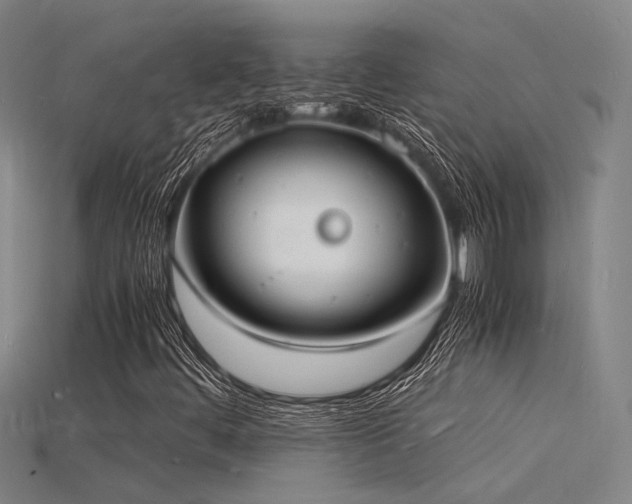 X0000115841444200911131521