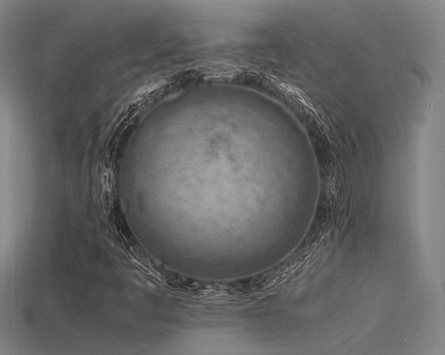 X0000115841445200911131521