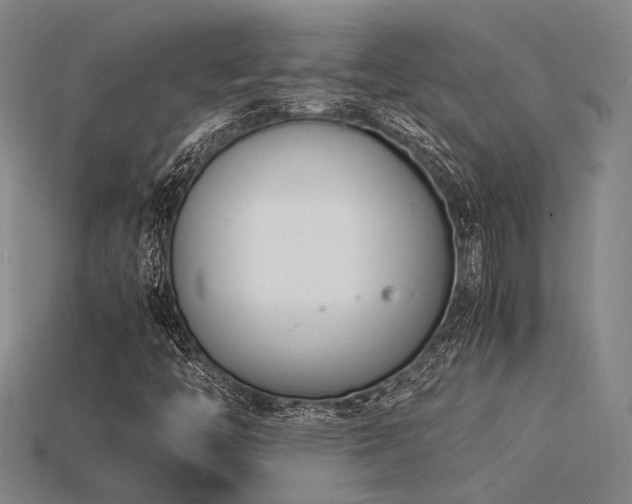 X0000115841446200911131521