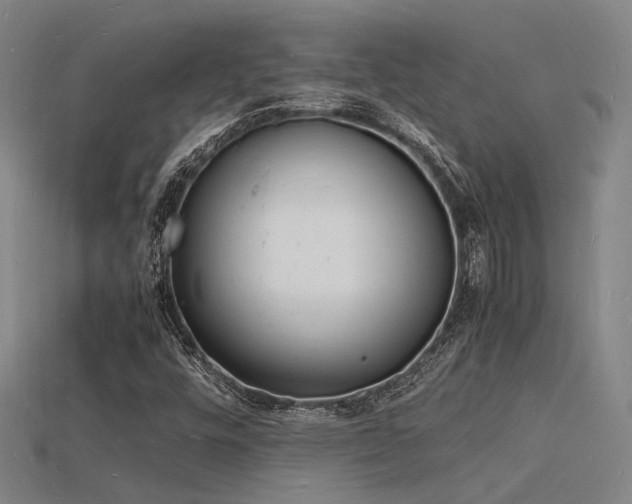 X0000115841448200911131521