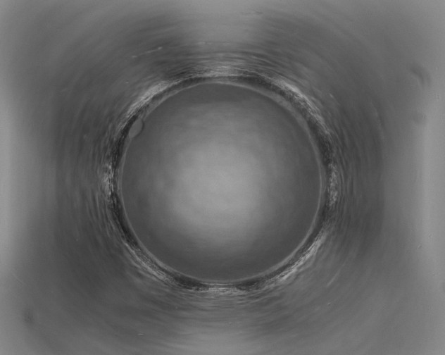 X0000115841449200911131521