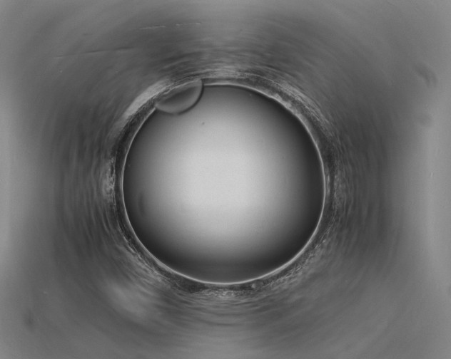 X0000115841450200911131521