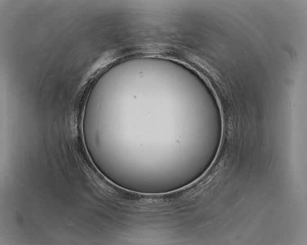 X0000115841451200911131521