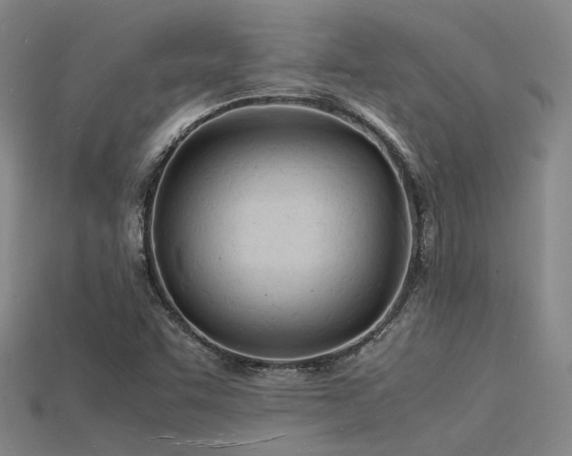 X0000115841455200911131521
