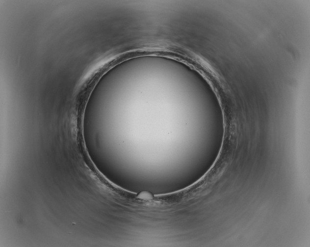 X0000115841456200911131521