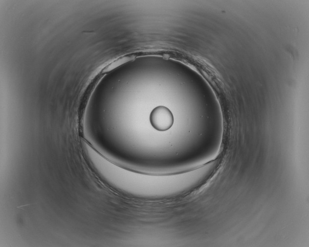 X0000115841457200911131521