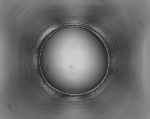 X0000115841458200911131521