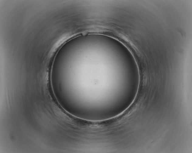 X0000115841459200911131521